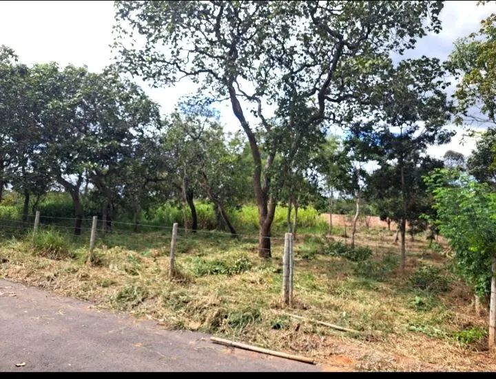 Vendo ou troco chacara em Paraopeba  - Foto 3