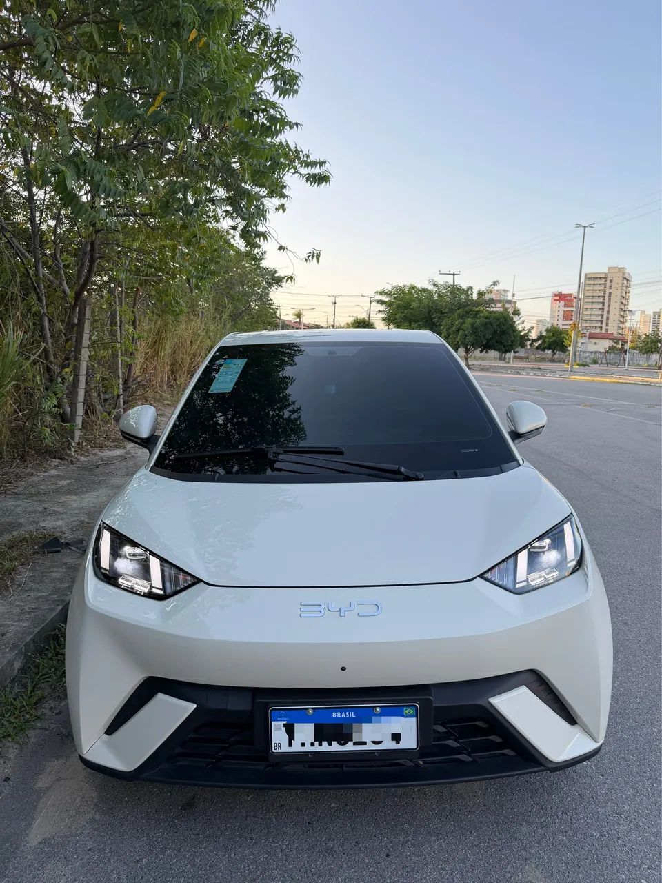 BYD Dolphin Mini (Elétrico) 2027 - Foto 2