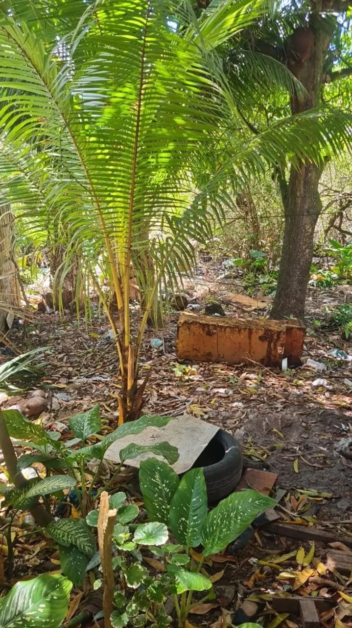 casa sobrado - Foto 2