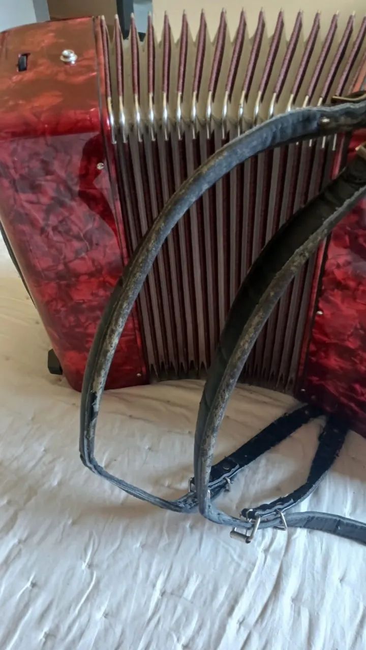 ACORDEON - Marca DOLPHIN - Foto 5