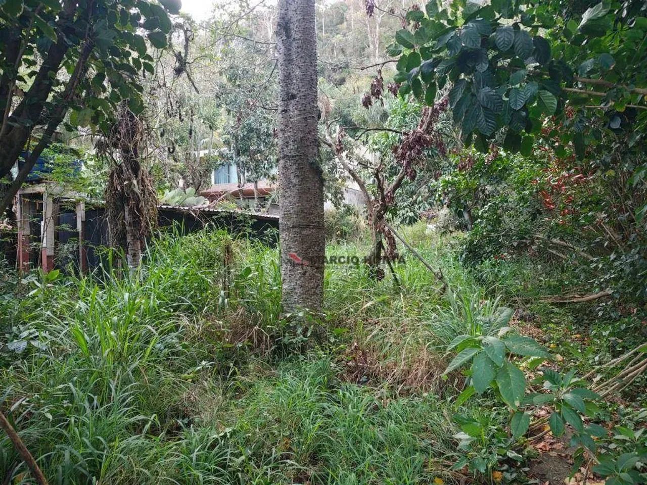Terreno, Itacoatiara, Niterói - Foto 2