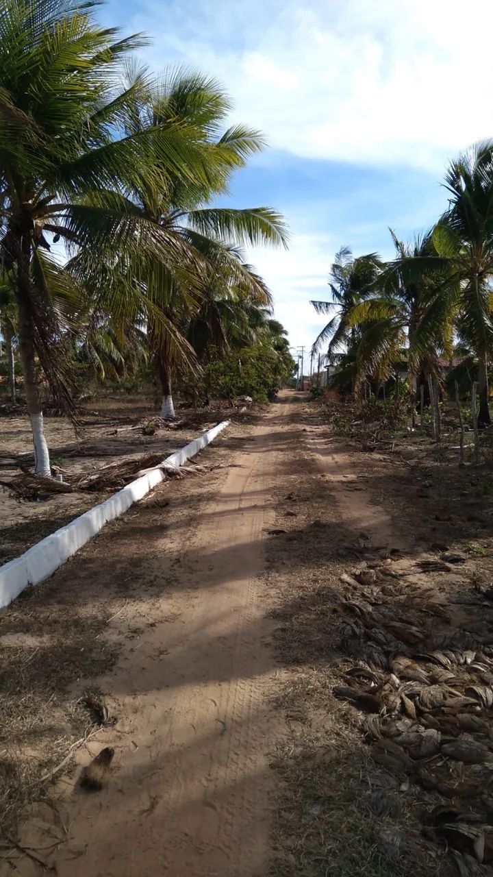 Terreno localizado no Trairi  - Foto 2