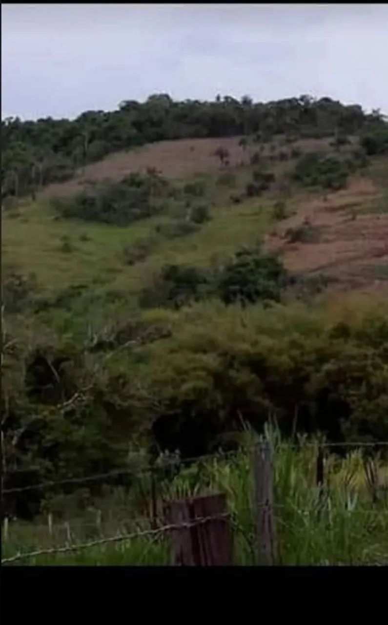 Terreno em chácara  - Foto 4