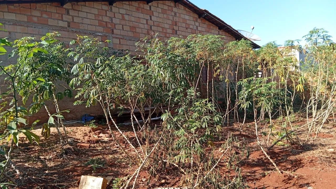 Vendo terreno em Araporã  - Foto 5