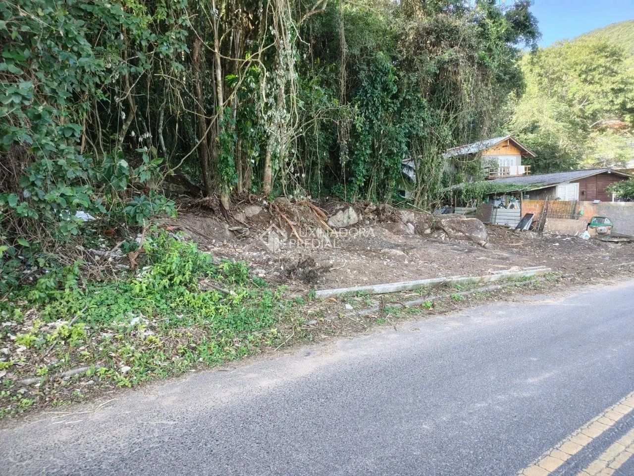 Lindo lote com 35.000m ² com viabilidade construtiva no Ribeirão da Ilha. - Foto 5