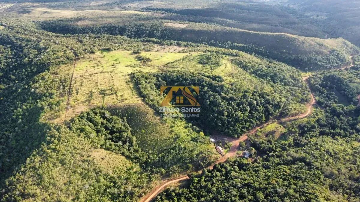 Fazenda com 10 Alqueires na Zona Rural de Palmas - Sentido Lajeado á 45 km do Centro - Foto 6