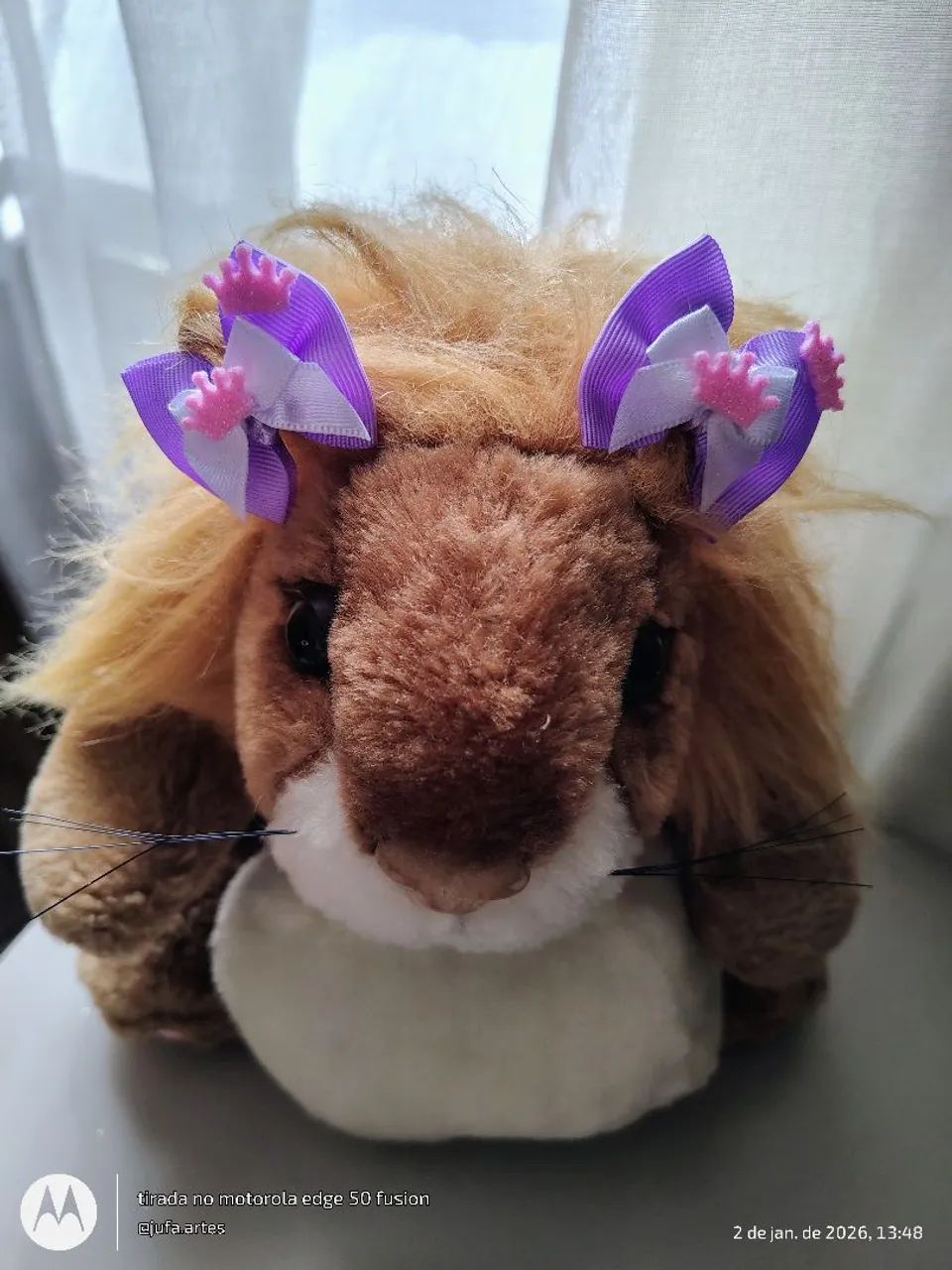 Lacinho Pet - Foto 6