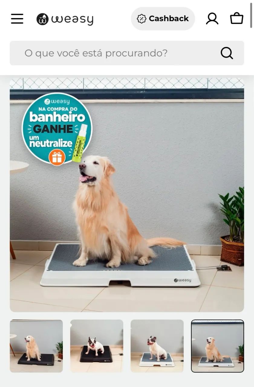 Weasy, banheiro inteligente para cachorro 