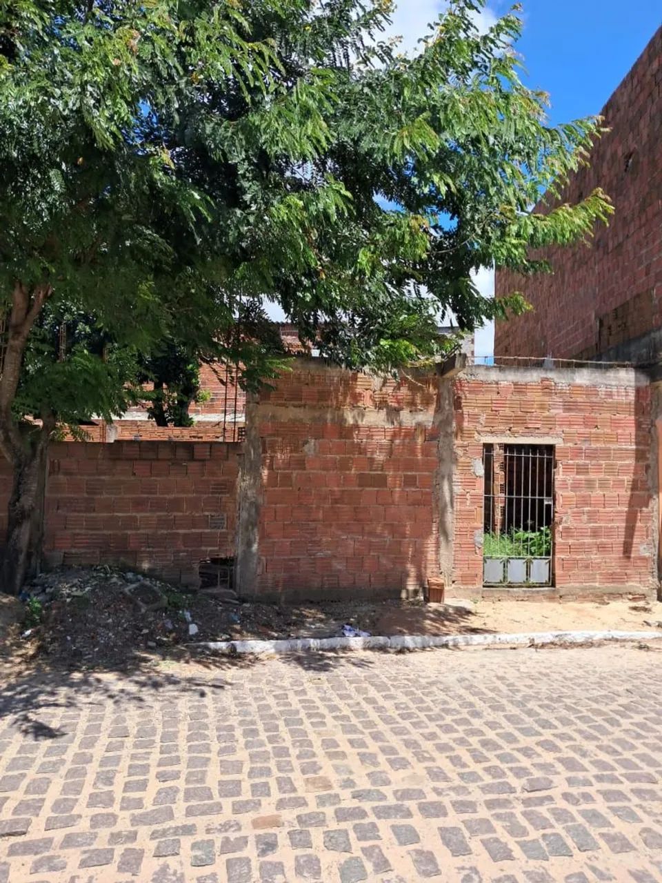Bairro Planalto - Foto 4