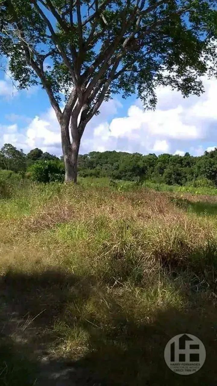 Chácara à venda com 8 hectares em Aldeia - Foto 2