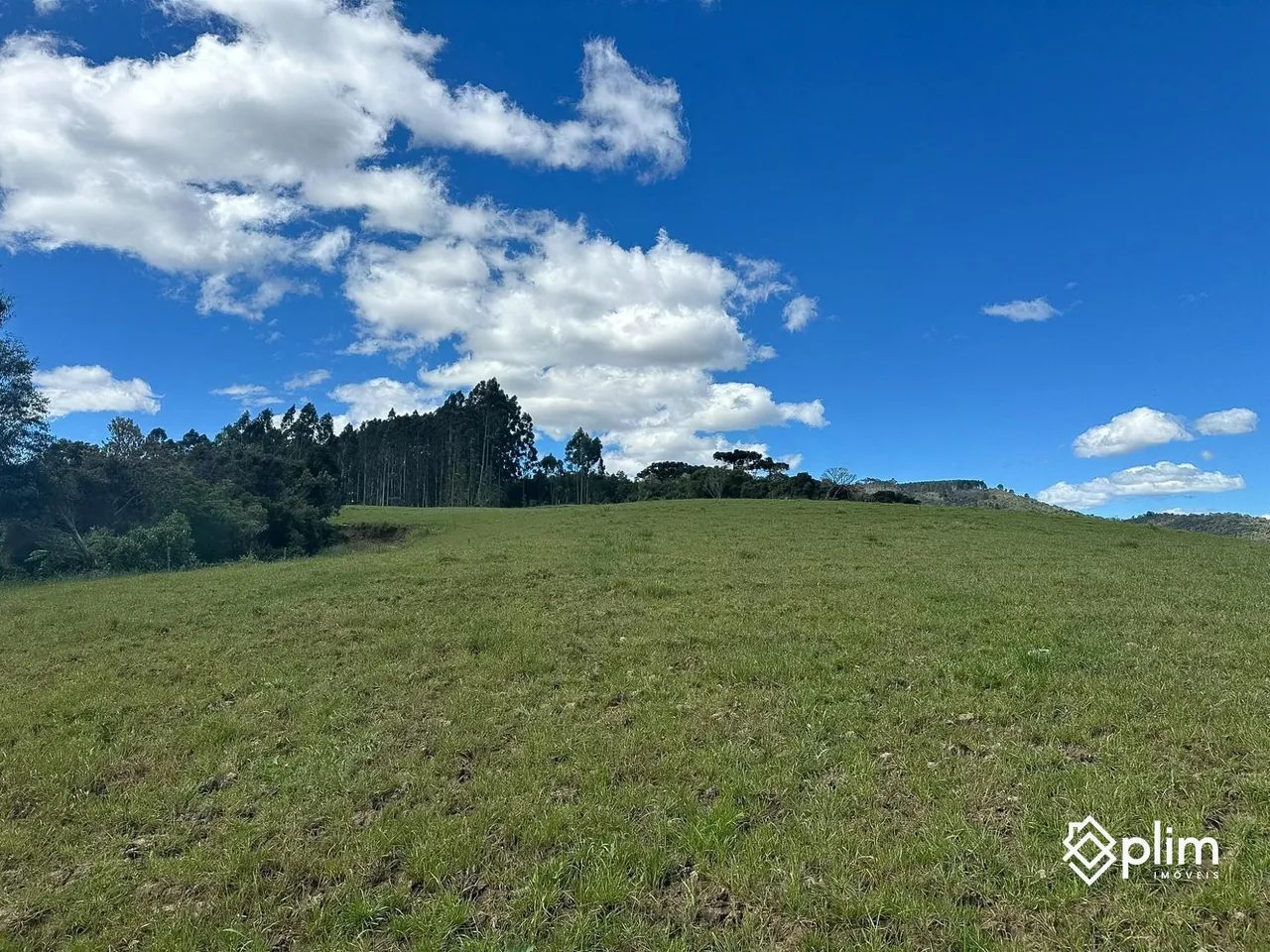 Sítio de 22 Hectares em Alfredo Wagner  SC - Foto 2