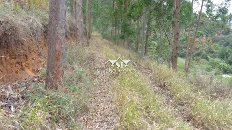 Terreno- Petrópolis, Nogueira - Foto 3