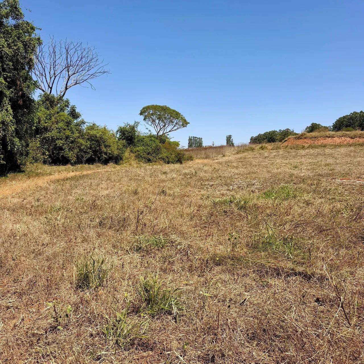 Chácara com Córrego à 300 metros da cidade de Goianápolis-GO - Foto 2