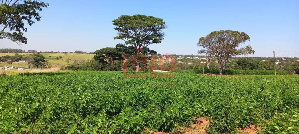 Terreno à venda Nova esperança Pr - Foto 4