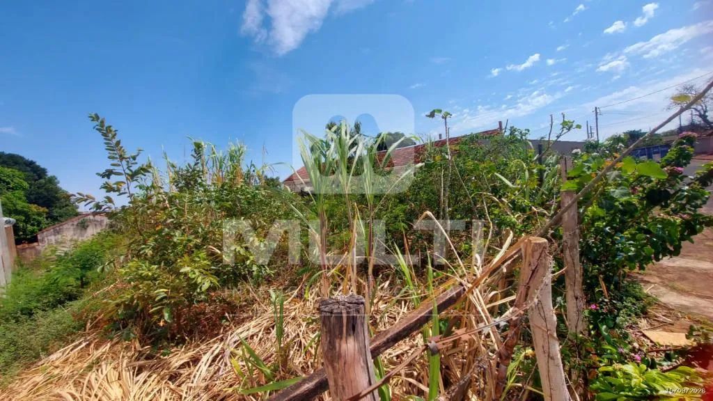 Terreno - ACLIMACAO - Foto 4