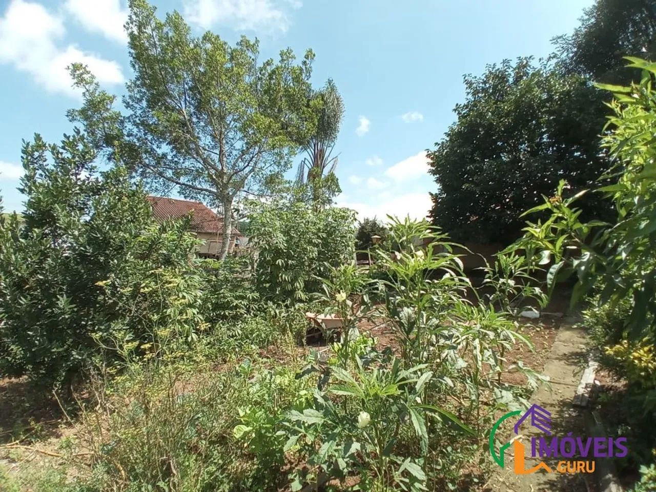 CHACARA - CAMPO DAS ANTAS - MG - Foto 5