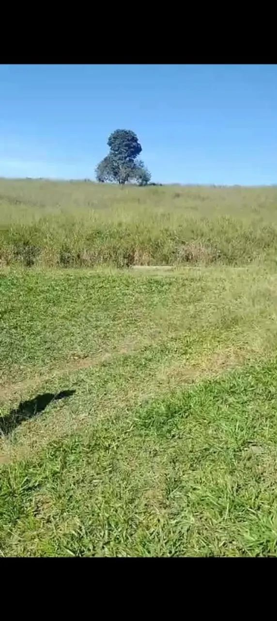 Vende- se este sítio  - Foto 5