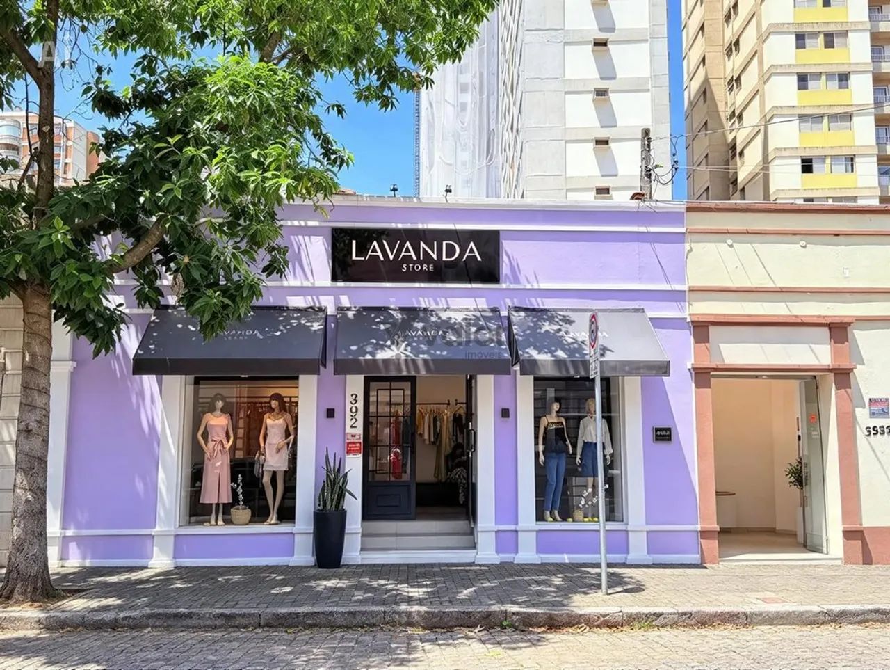 Casa à venda em Campinas, Cambuí, com 5 quartos, com 308 m² - Foto 5