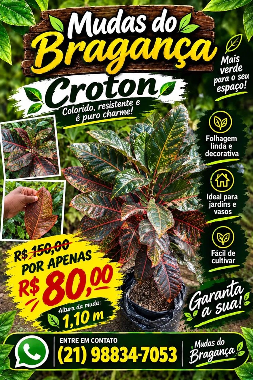 Planta