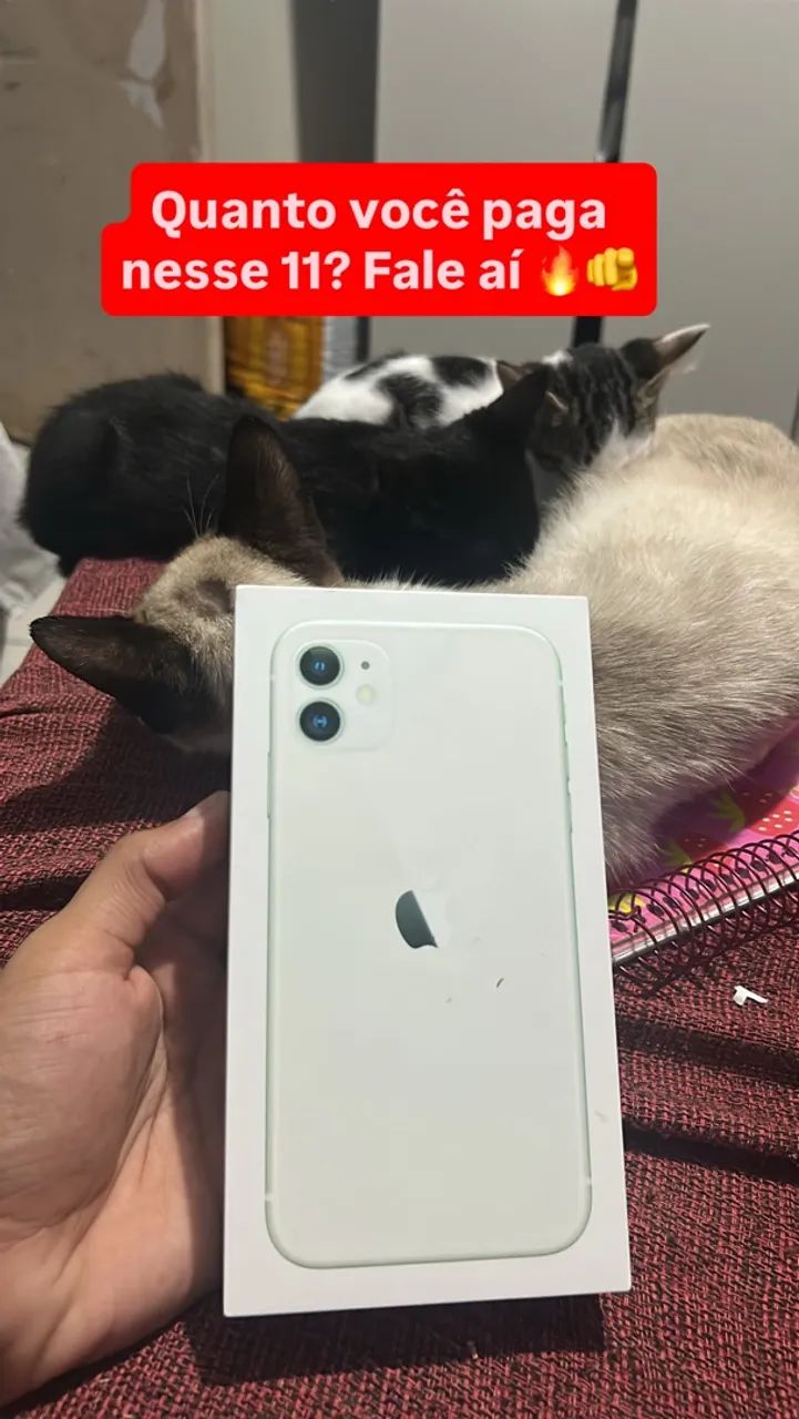 IPHONE 11 todo originial ?