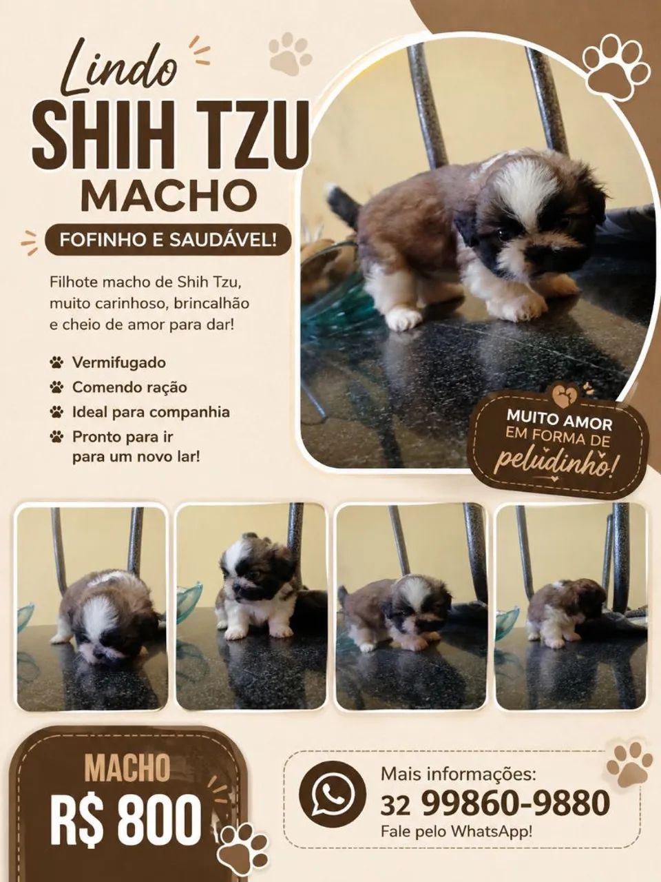 Shit tzu 
