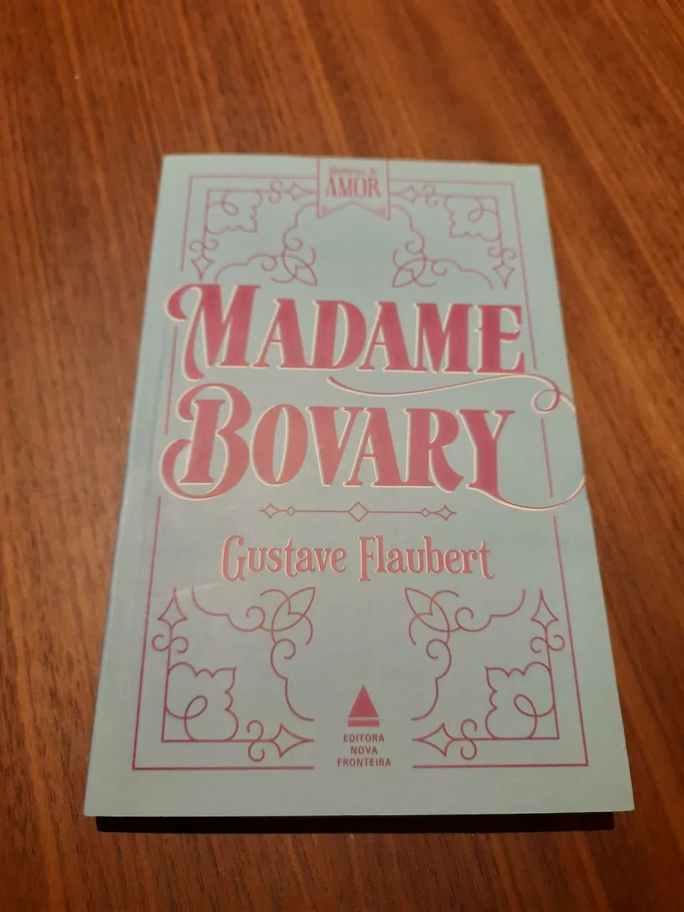  Livro Madame Bovary - Gustave Flaubert (semi novo) - Entrego em mãos