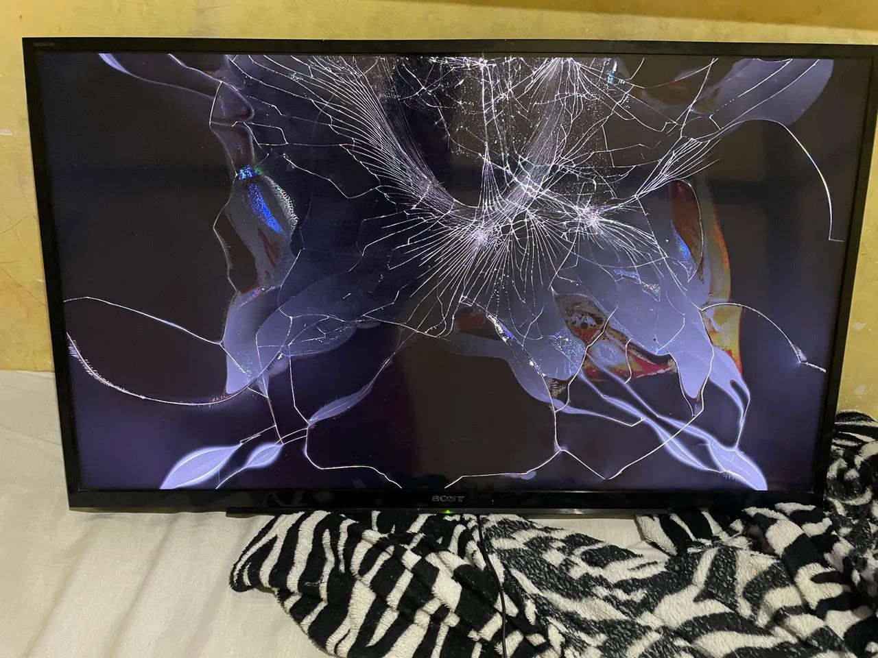 Televisão 