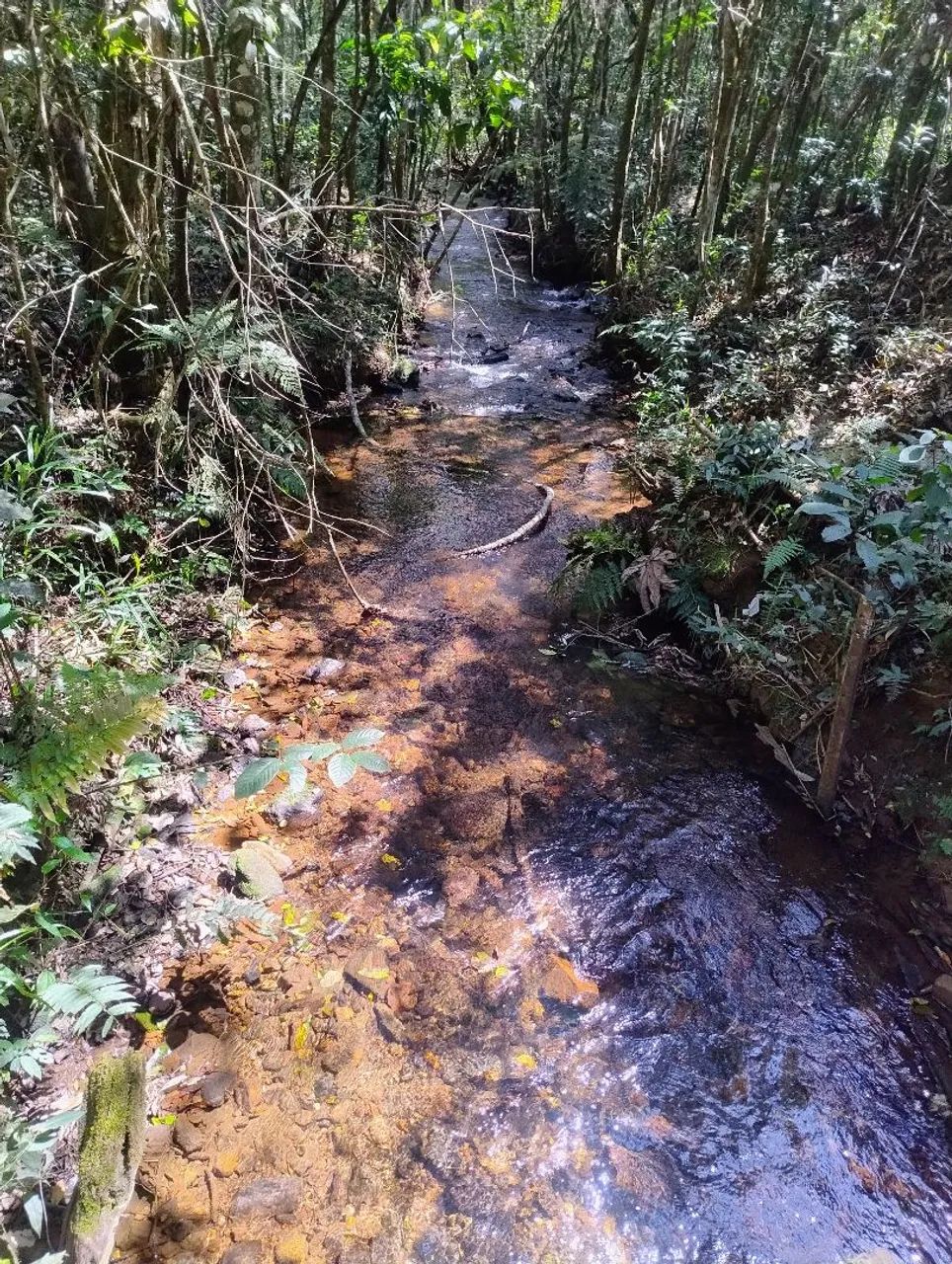 Chácara  - Foto 2