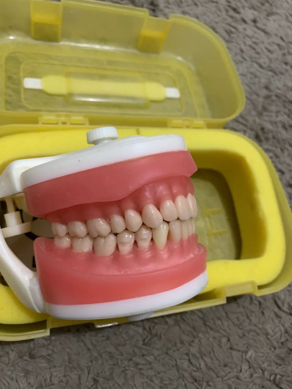 Manequim odontológico dentistica da Pronew - Foto 2