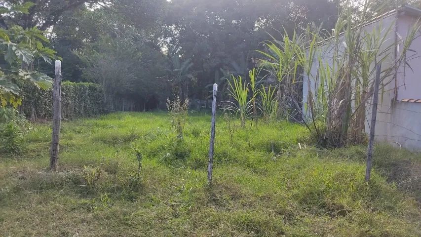 Foto - São José dos Campos - Jardim Santa Hermínia