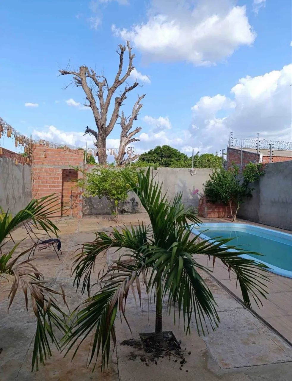 JA Vendo casa em Nova Almeida  - Foto 3