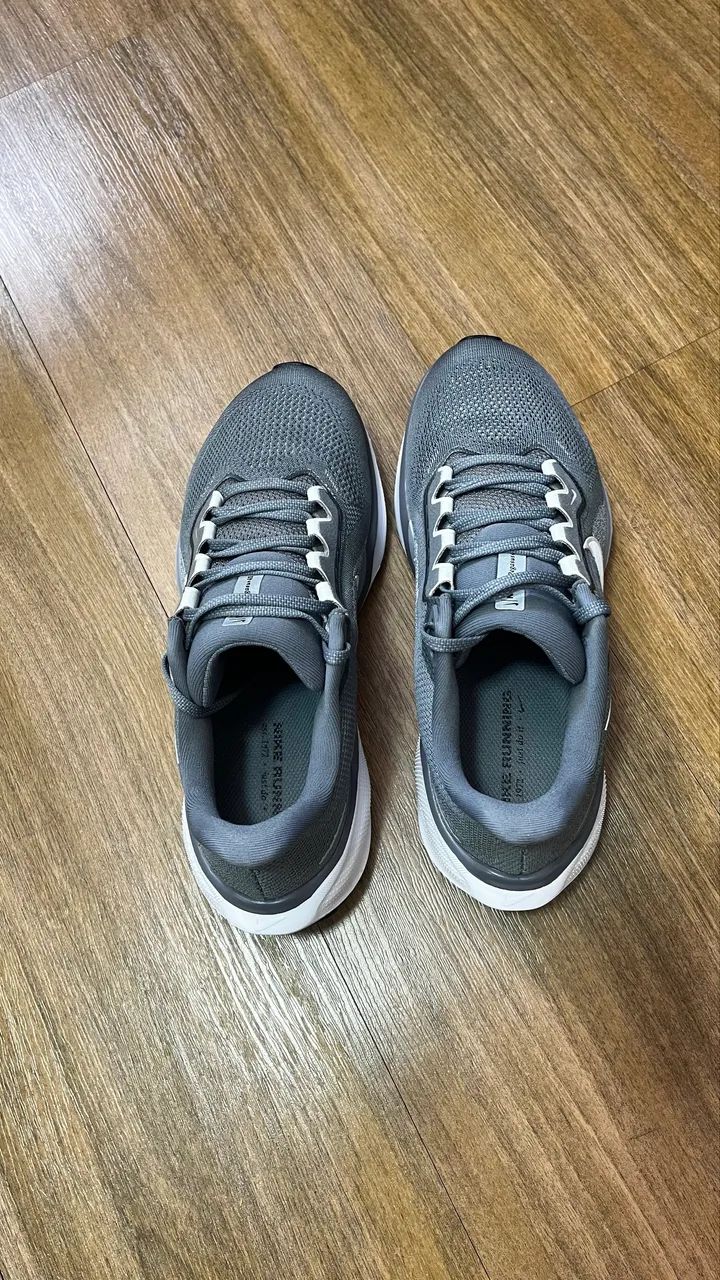 Pegasus 41 - Venda Rápida  - Foto 4