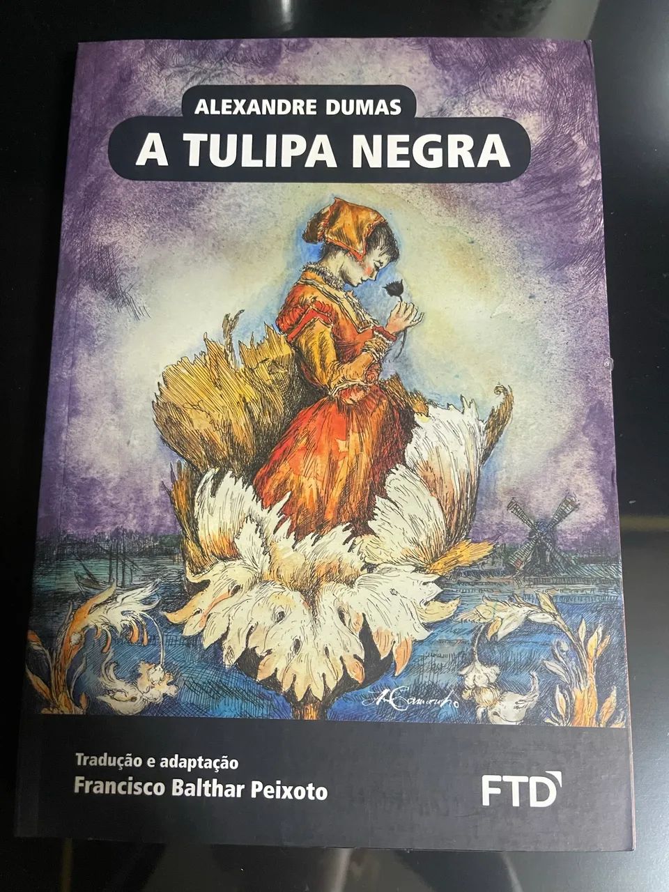 livro tulipa negra 