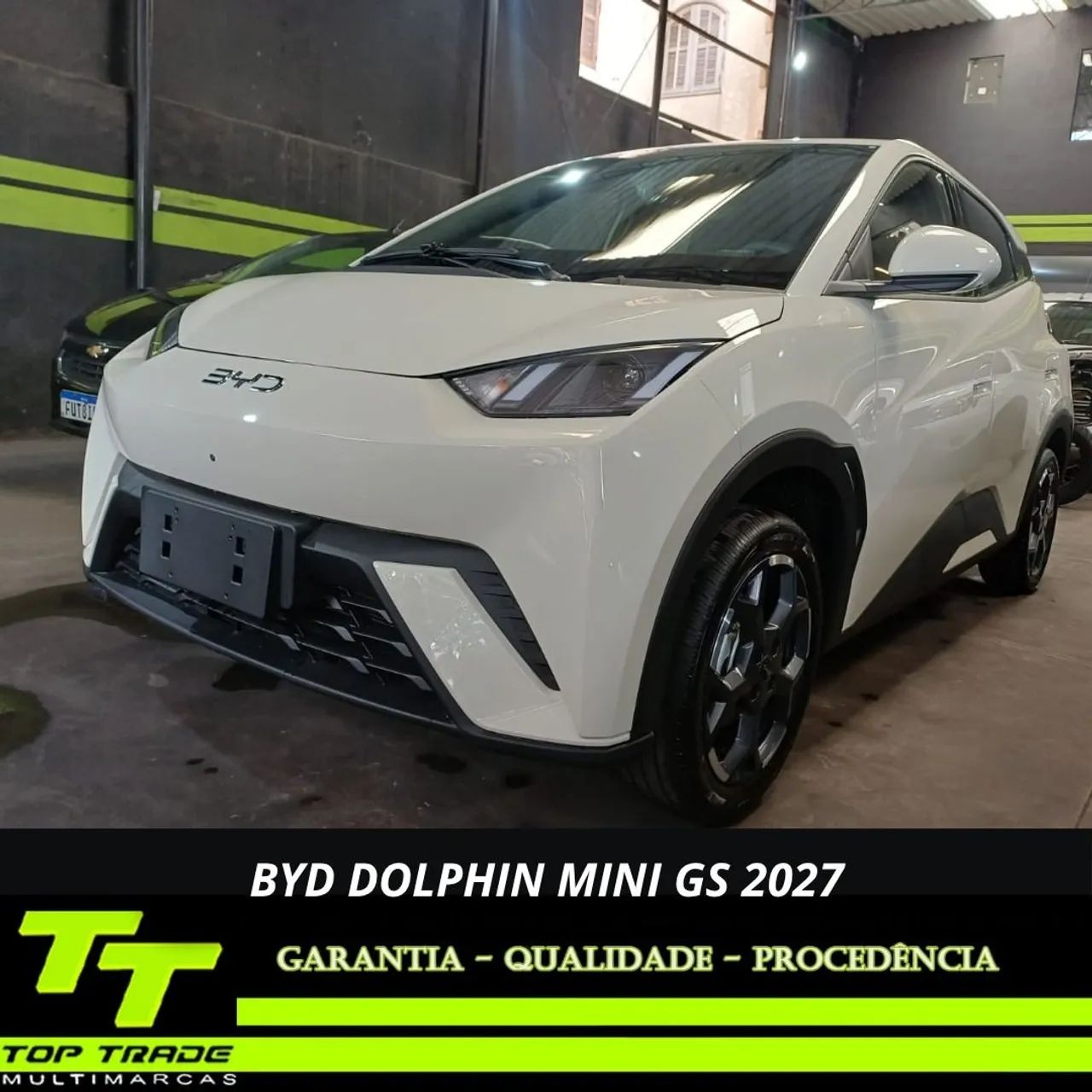 BYD Dolphin 2027