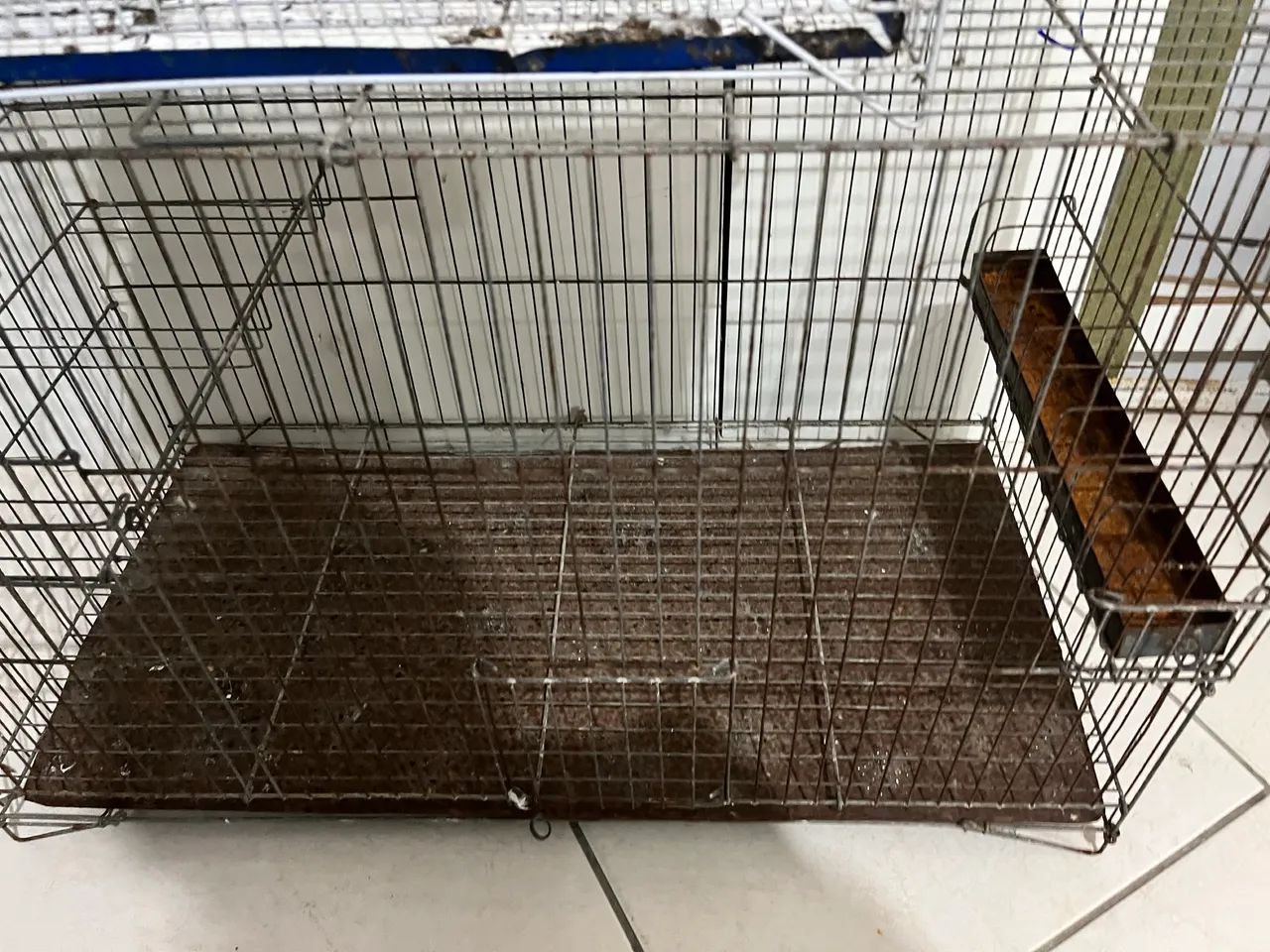 2 viveiro para aves 