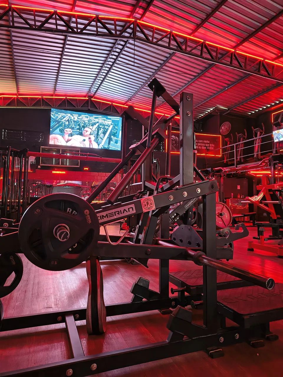 BELT SQUAT CIMERIAN - Foto 4