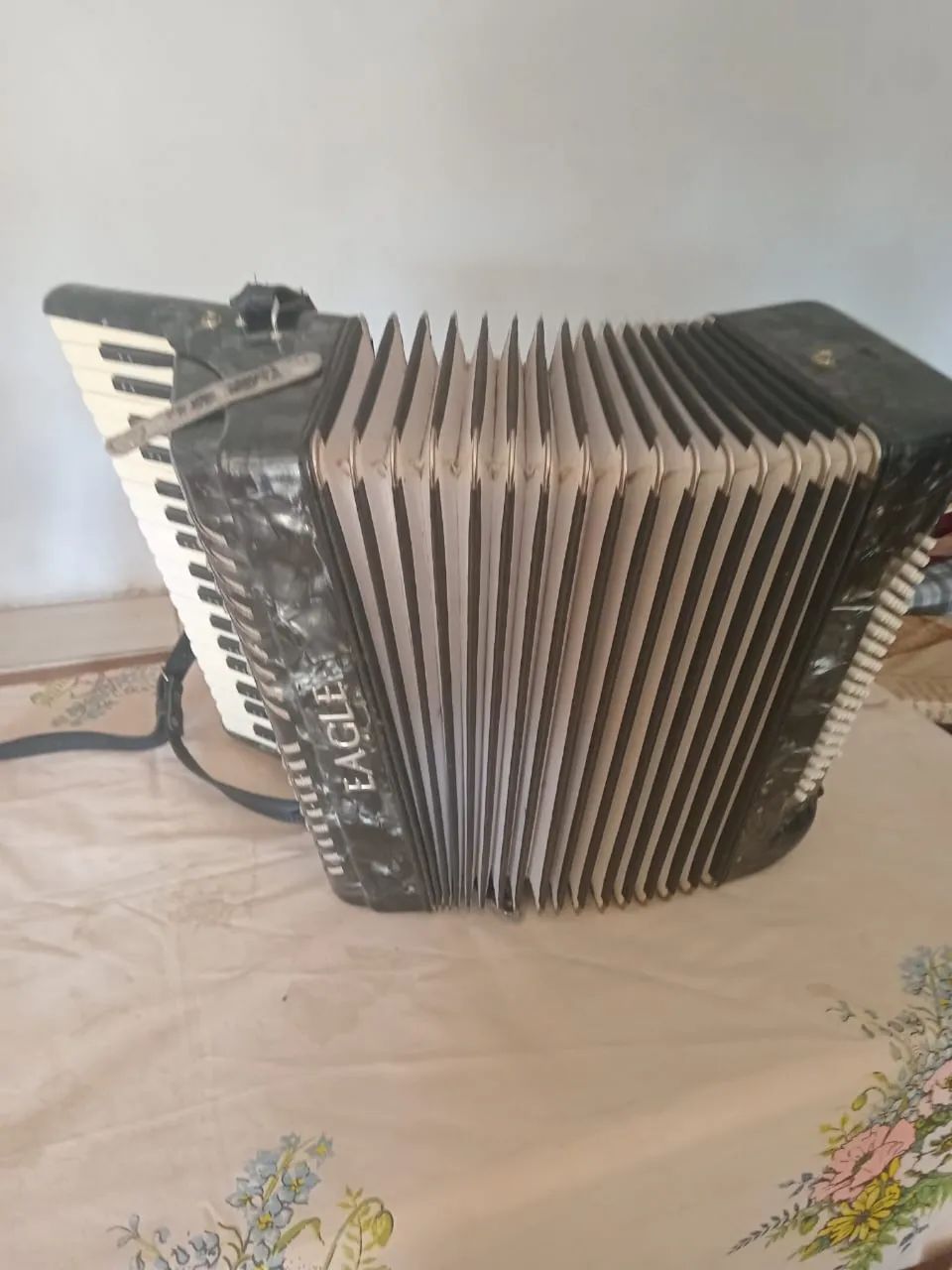 Sanfona
