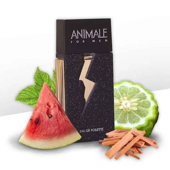Perfume Animale for Men 100ml edt - Foto 4