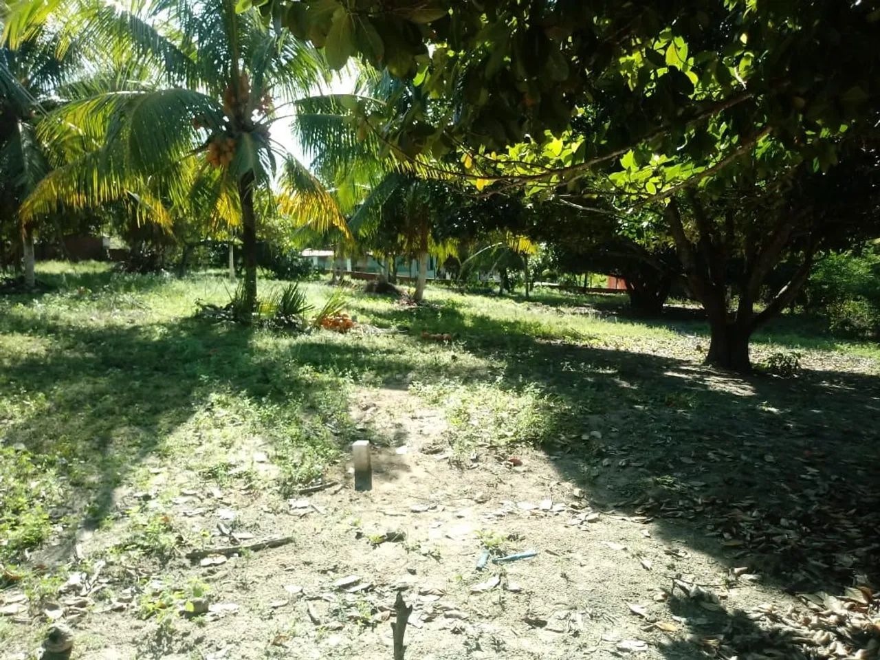 Terreno em Itamaracá - Bela Vista - Foto 2