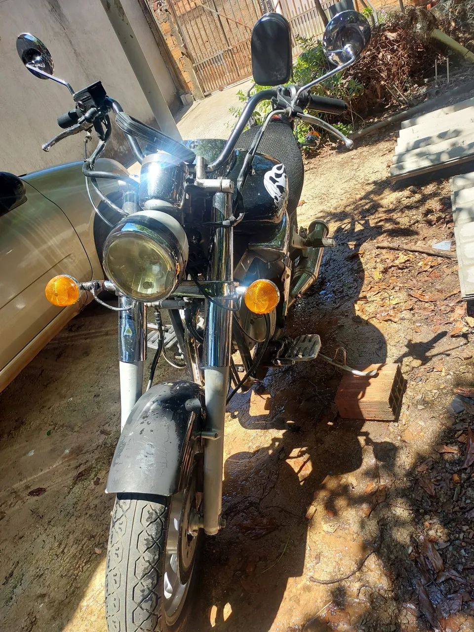 Amazonas 250 custom - Foto 3