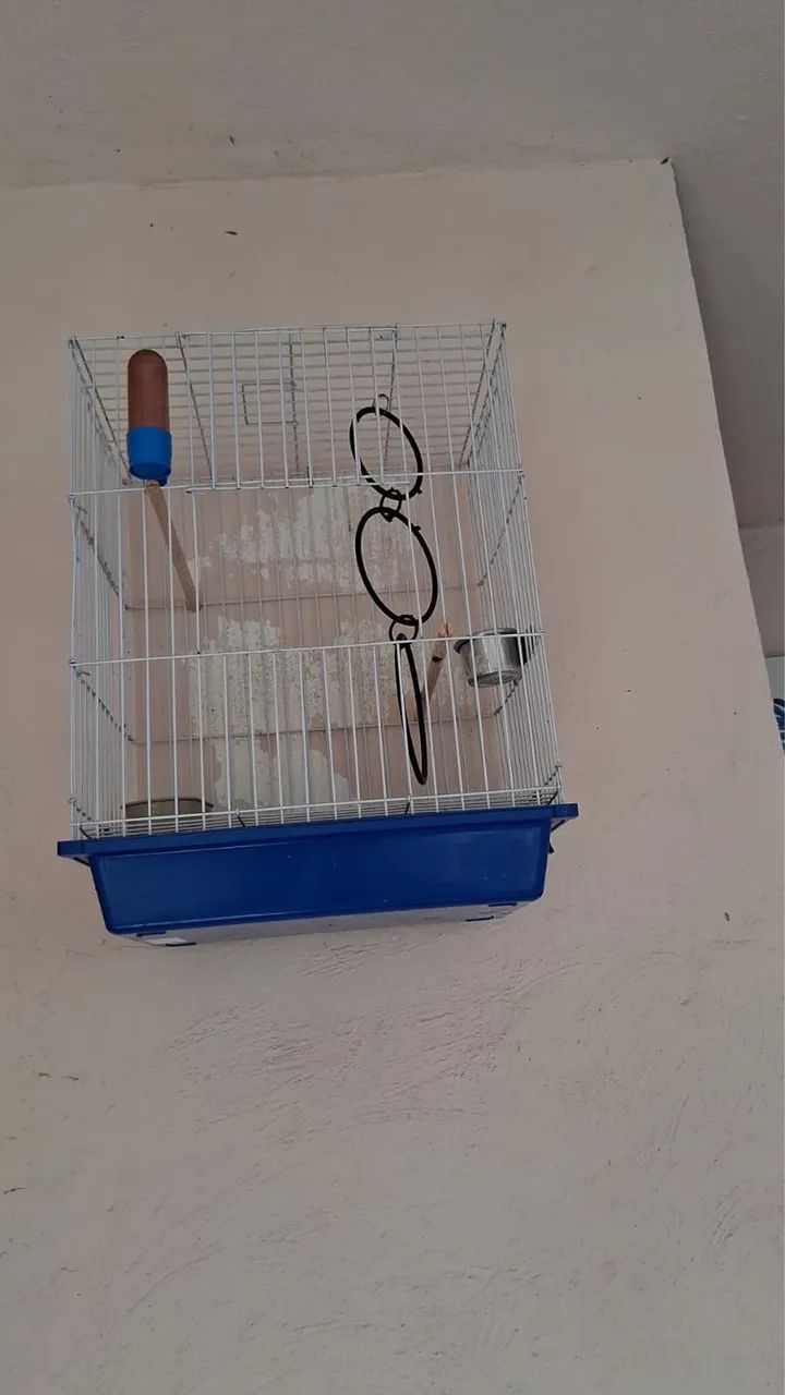 Gaiola pouco usada 