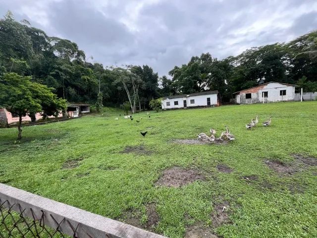 Sítio em Barão de Guandu - Foto 5
