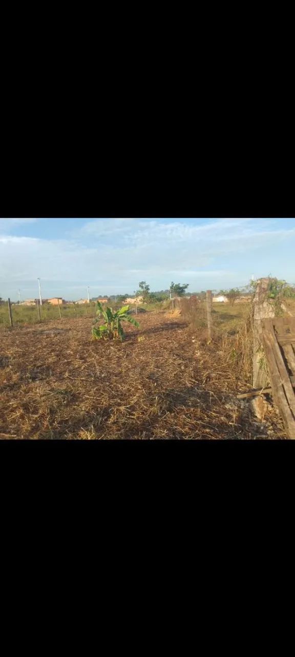 Terreno amplo 10x30 com ótimo preço! - Foto 3