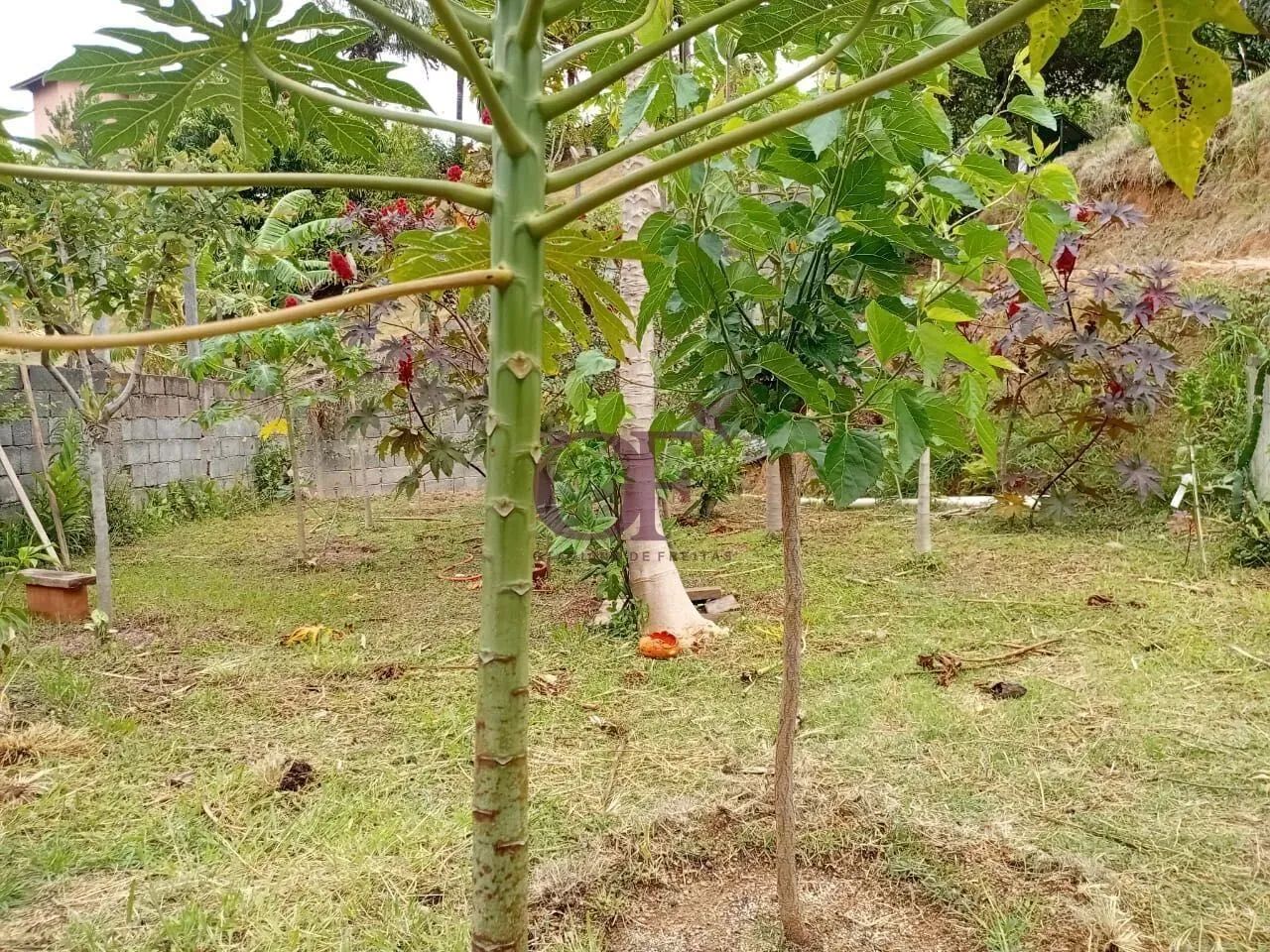 Chácara Térrea no Condomínio Jardim Ribeirão I  Itupeva/SP - Foto 7