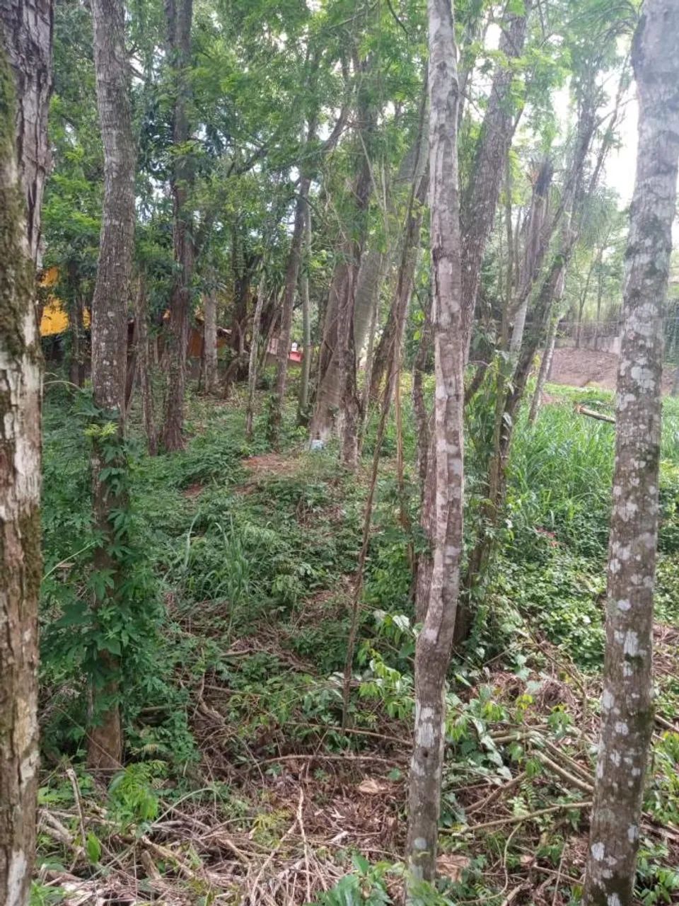 Terreno em Condomínio para Venda em Jandira, Parque Nova Jandira - Foto 6