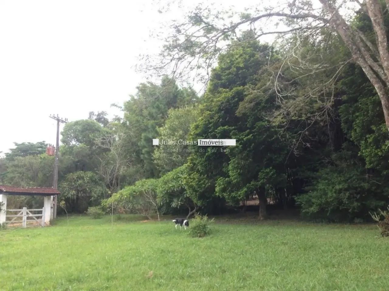 Chácara em Sarapuí - Foto 3