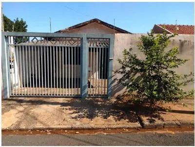 Foto - São José do Rio Preto - Vila Clementina