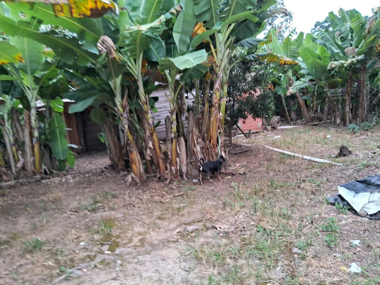 PEQUENO SÍTIO 