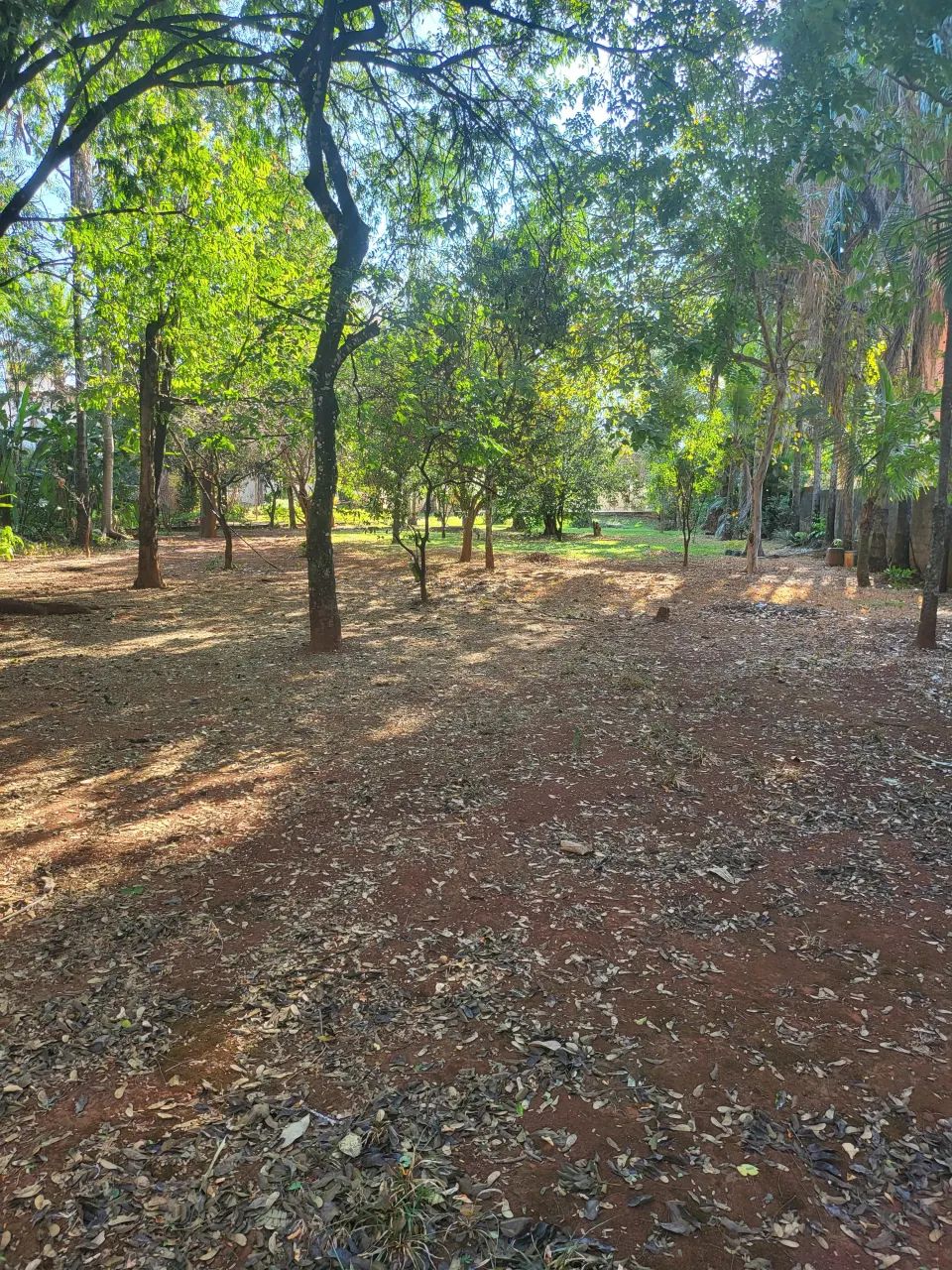 Chacara na saida da GO-070 4.375 m² - Foto 4