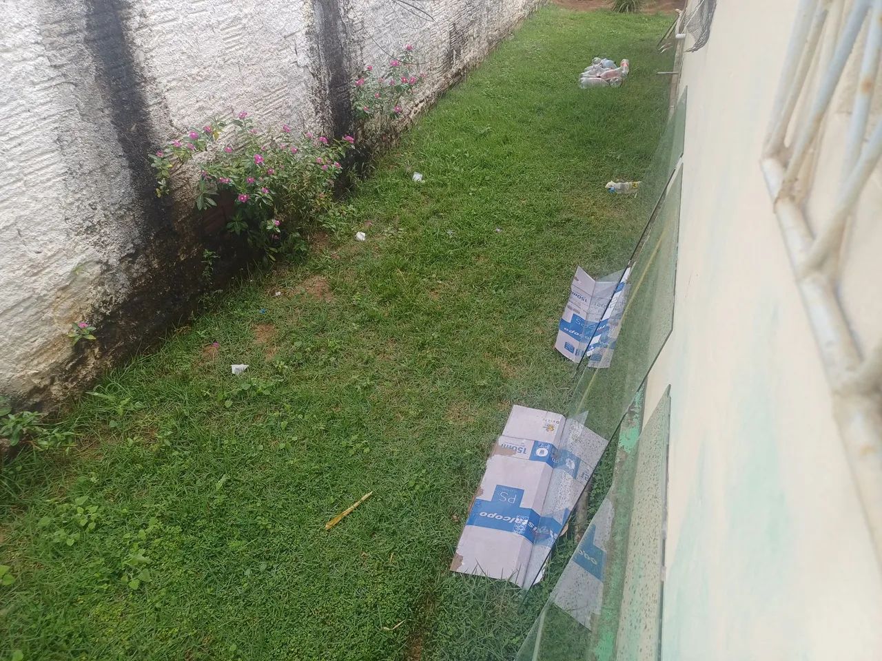 3 vidros